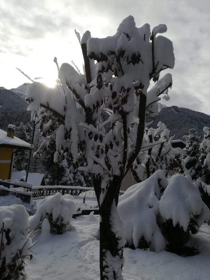 Il Nido B&B Villa d'Allegno Bagian luar foto